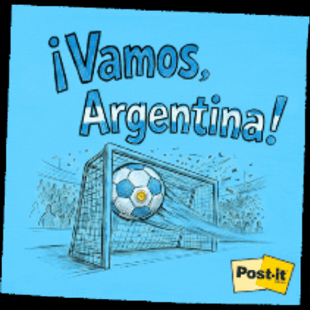 Argentina Albiceleste GIF by 3M