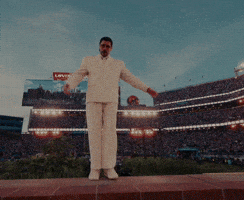 Super Bowl Football GIF