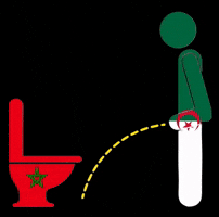 Morocco Algeria GIF