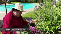 Margo Martindale "Gardens" During Quarantine