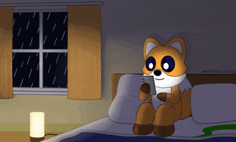 Chilling Red Fox GIF