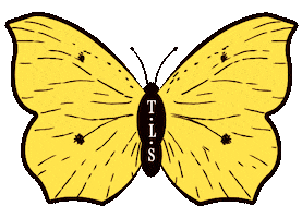 Limoncello Sticker by bydenize