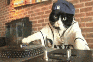 Dj Cats GIFs - Get the best GIF on GIPHY