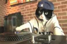 Hip Hop Dj Cat GIF - Find & Share on GIPHY