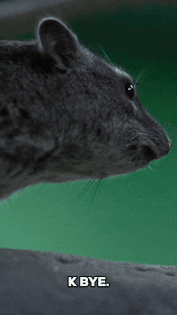 See Ya Goodbye GIF by Valley Zoo Development Society