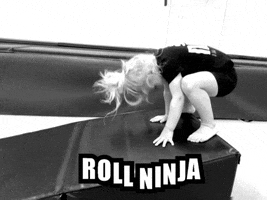 Ninja GIF by The NinjaZone