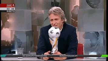 viselaba vice benfica sporting slb GIF