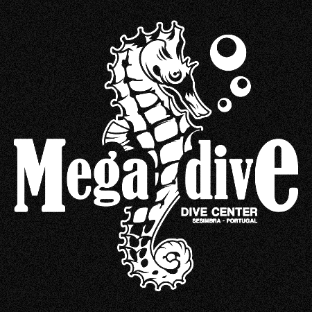 Scubadive Savetheoceans GIF by Flipper