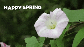 Happy Summer GIF by JC Property Professionals