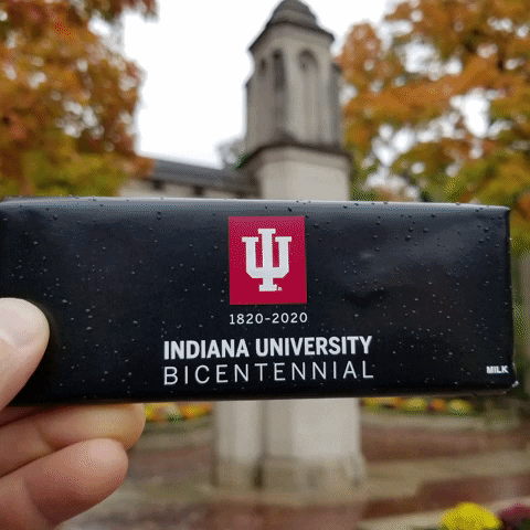 Milk Chocolate Fall GIF by Indiana University Bloomington