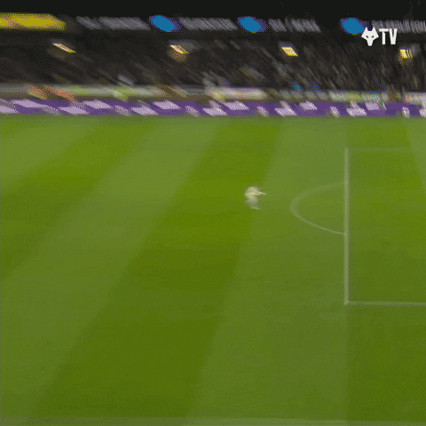 Get In There Premier League GIF by Wolves