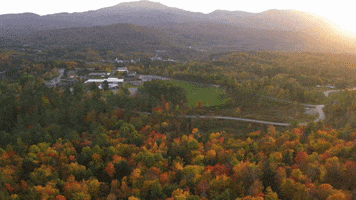 Travel Fall GIF by Northern Vermont University