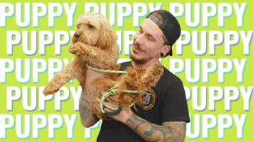 Dog Puppy GIF by StickerGiant