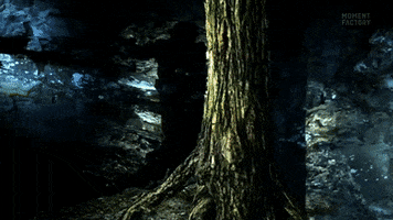 lolodkp  GIF
