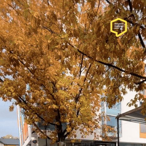 Orange Wow GIF by Linz News