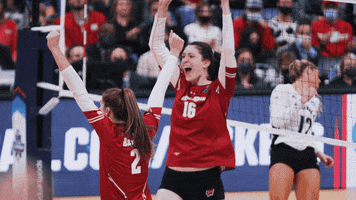 Wisconsin Volleyball Badger GIF by Wisconsin Badgers