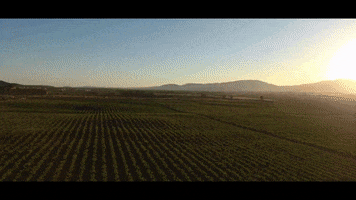 Valle De Guadalupe GIF