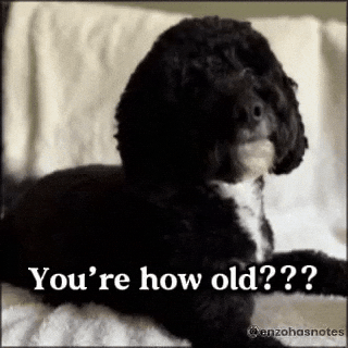 Getting Old Happy Birthday GIF