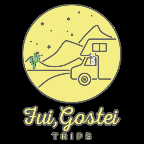 Chile Deserto GIF by Fui Gostei Trips