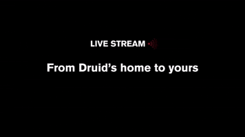 GIF by Druid Theatre