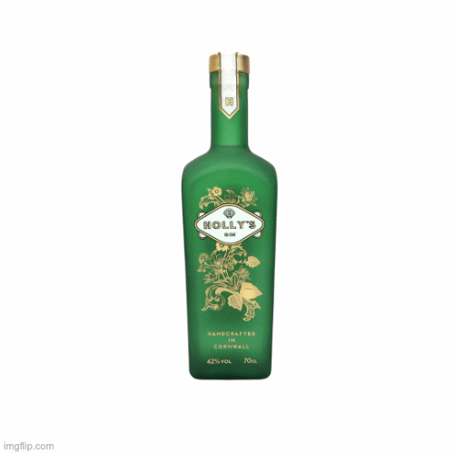 Holly's Gin GIFs on GIPHY Be Animated