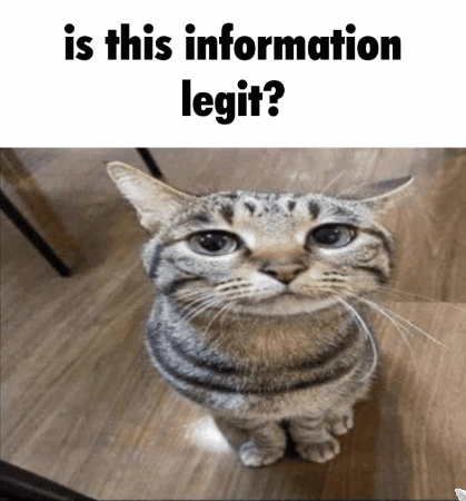 Cat GIF