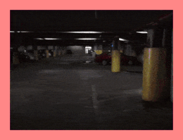 Fid0 GIF