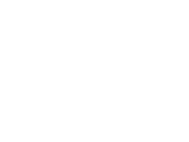 Rapid Agency Sticker