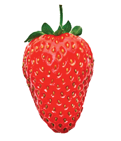 Strawberry Sticker by Bowery Farming
