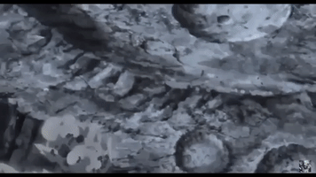 Speed Feat Kcm GIF