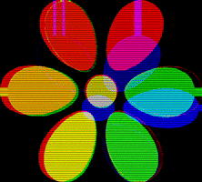 intermedia GIF