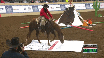 Kentucky Horse Park Ridepass GIF by Professional Bull Riders (PBR)