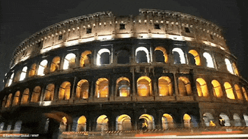 roman forum night GIF by Earth Hour