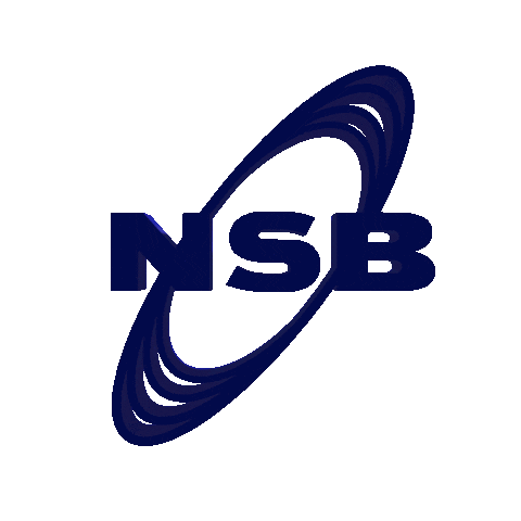 Noir Sur Blanc Records Sticker