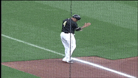 Salt Lake Bees GIF - Find & Share on GIPHY