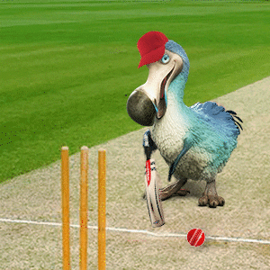 The Ashes Cricket GIF by Dodo Australia