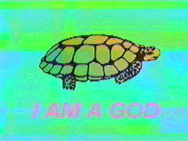 I Am A God Turtle GIF by MOODMAN