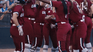 high five home run GIF by gamecocksonline