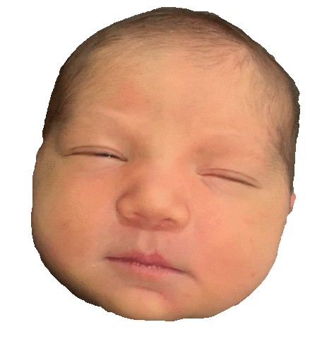 Newborn Sleeping Baby Boy Sticker