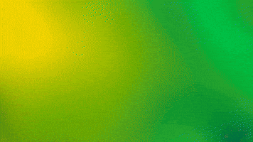 Zpf GIF by Zomerparkfeest