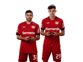 Bayer 04 Fifa GIF by Bayer 04 Leverkusen