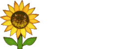 Flowers Sunshine Sticker