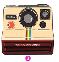 Lights Camera Action Vintage GIF by MissAllThingsAwesome