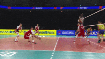 Action Defense GIF by Volleyball World