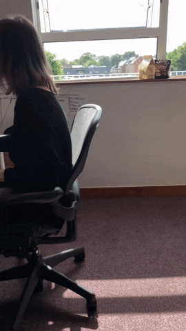 Bimble GIF
