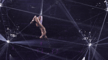 Spin Circus GIF by Ringling Bros. and Barnum & Bailey
