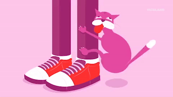 cat GIF by MOST EXPENSIVEST