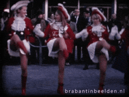 Carnaval Brabant GIF by BrabantinBeelden