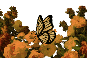 Hip Hop Rap Sticker by Sharif