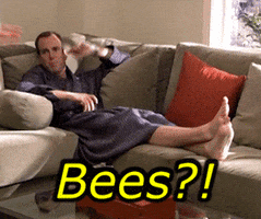 Arrested Development Bees GIF
